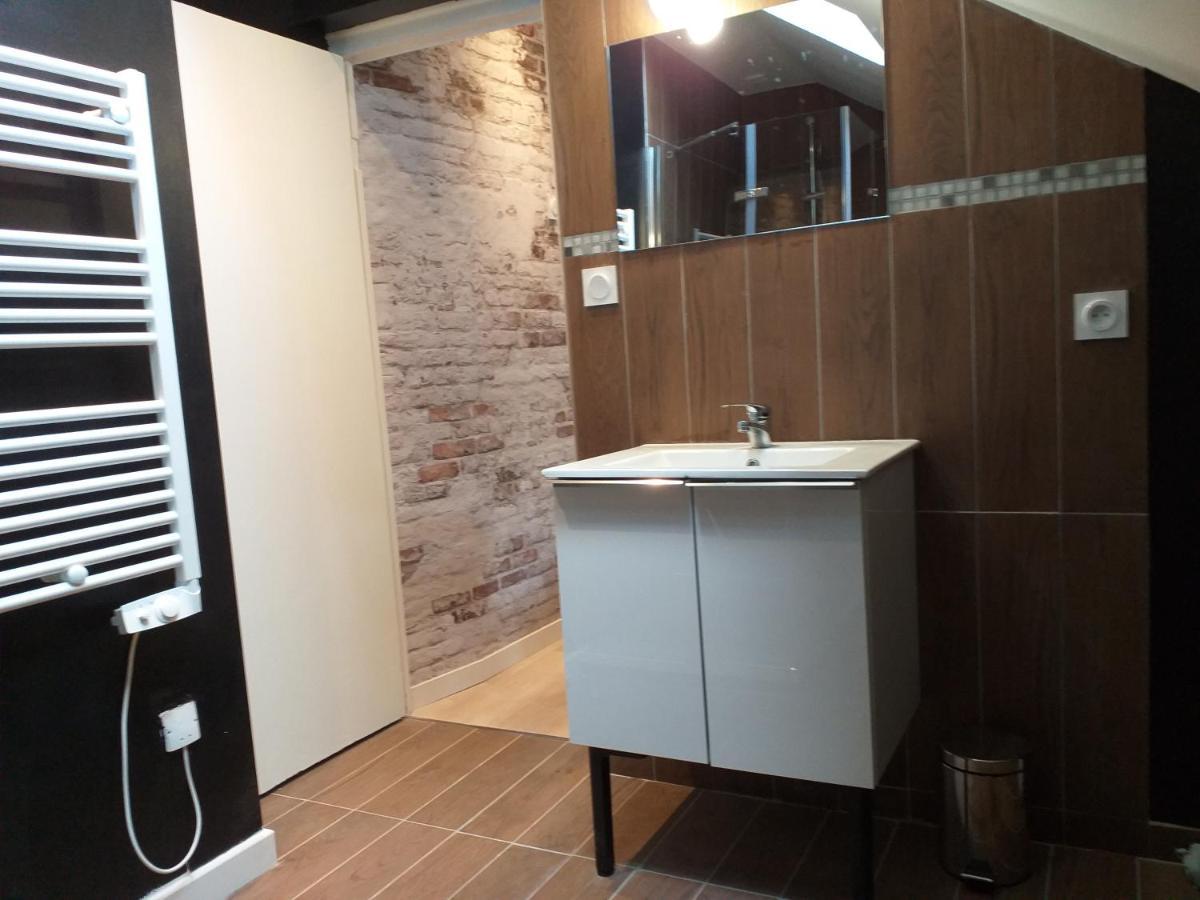 Les Volets Bleus - Deux Appartements Et Un Studio, Jardin Bourges Luaran gambar