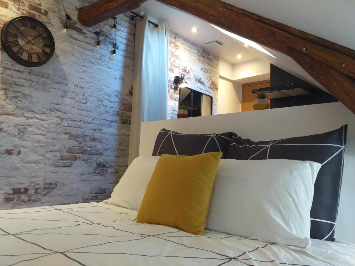 Les Volets Bleus - Deux Appartements Et Un Studio, Jardin Bourges Luaran gambar