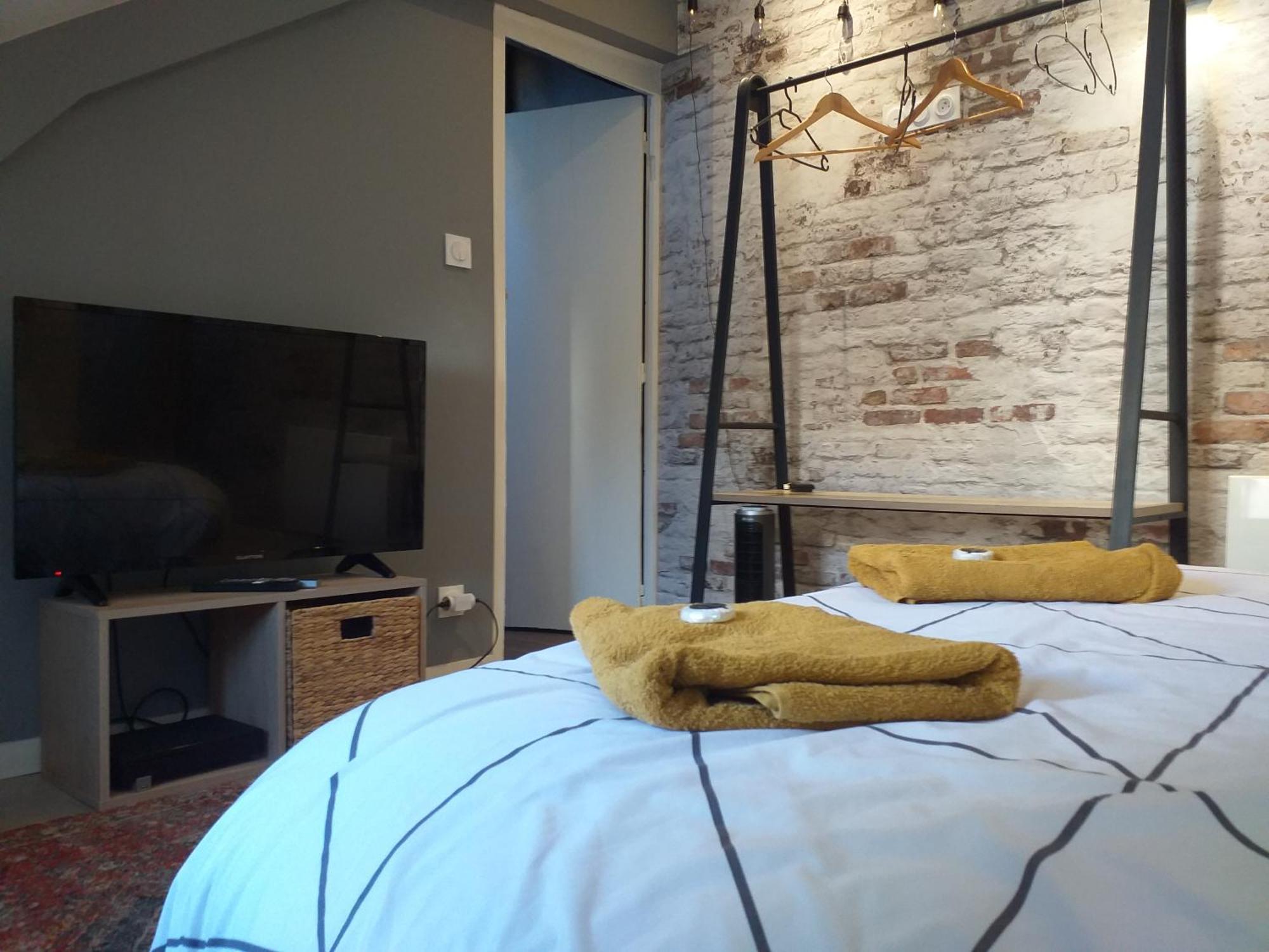 Les Volets Bleus - Deux Appartements Et Un Studio, Jardin Bourges Bilik gambar