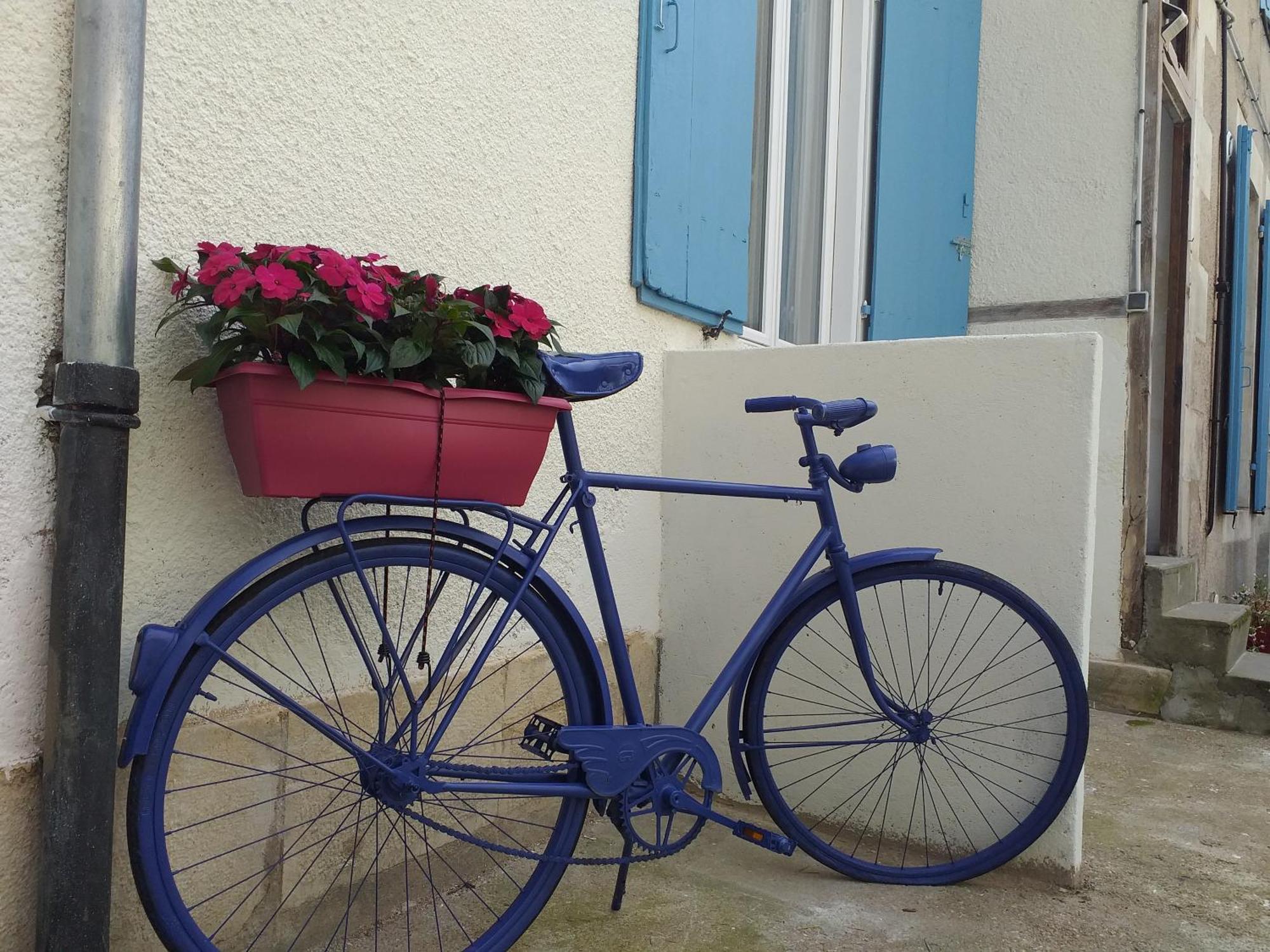 Les Volets Bleus - Deux Appartements Et Un Studio, Jardin Bourges Bilik gambar