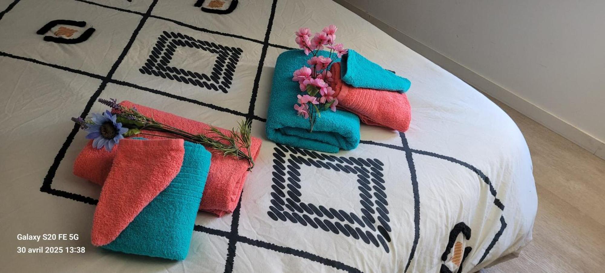 Les Volets Bleus - Deux Appartements Et Un Studio, Jardin Bourges Luaran gambar