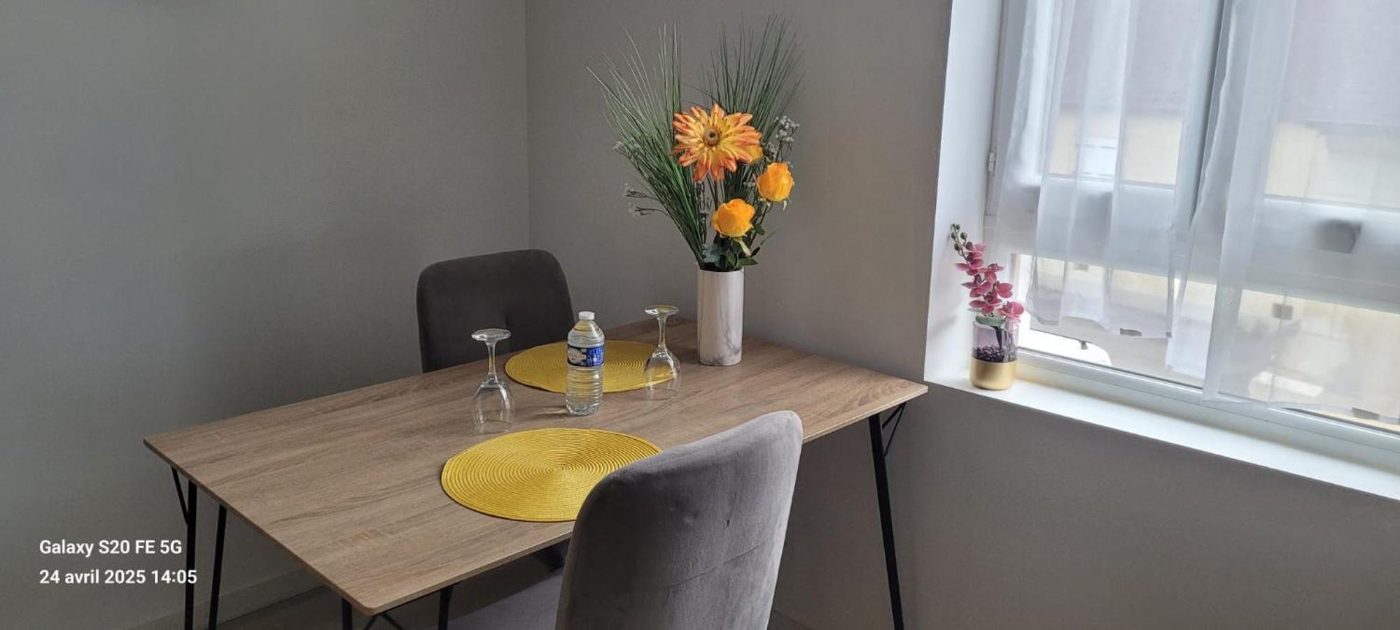 Les Volets Bleus - Deux Appartements Et Un Studio, Jardin Bourges Luaran gambar